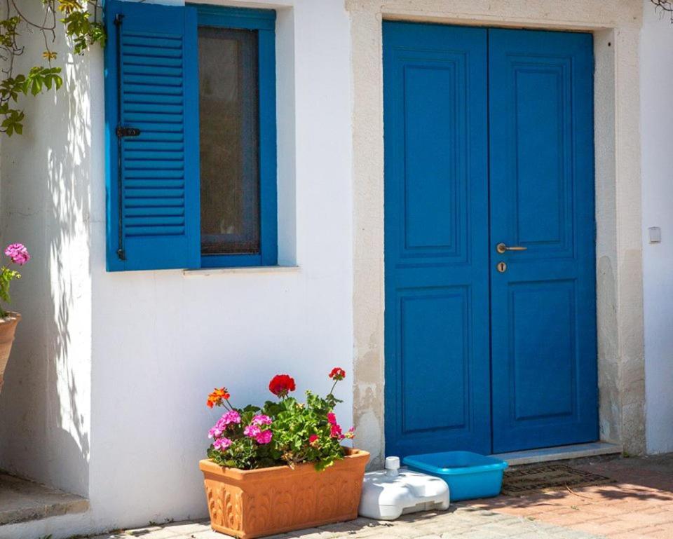 Τhe White Houses Makrýgialos Dış mekan fotoğraf